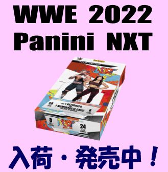 WWE 2022 Panini NXT Wrestling Box